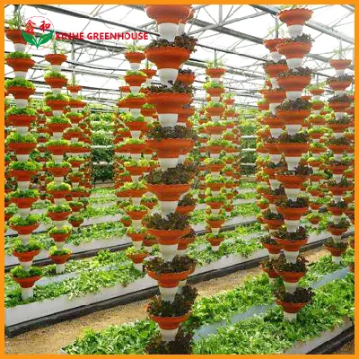 Efficient Polycarbonate Greenhouse and Cocopeat Hydroponic for Tomato Growing