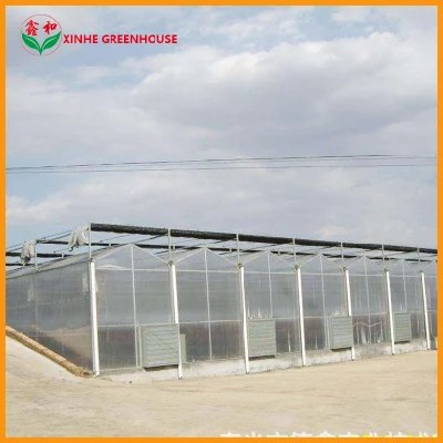 Polycarbonate Sheet Greenhouse with Blackout Shade System