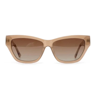 Gd Brand High End in Stock Acetate Sunglasses Sun Glasses Designer Men Women Tac Lenses