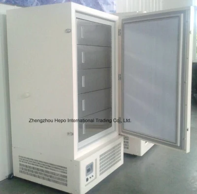Chinese Large Capacity Energy Saving Upright Deep Cooling Freezer