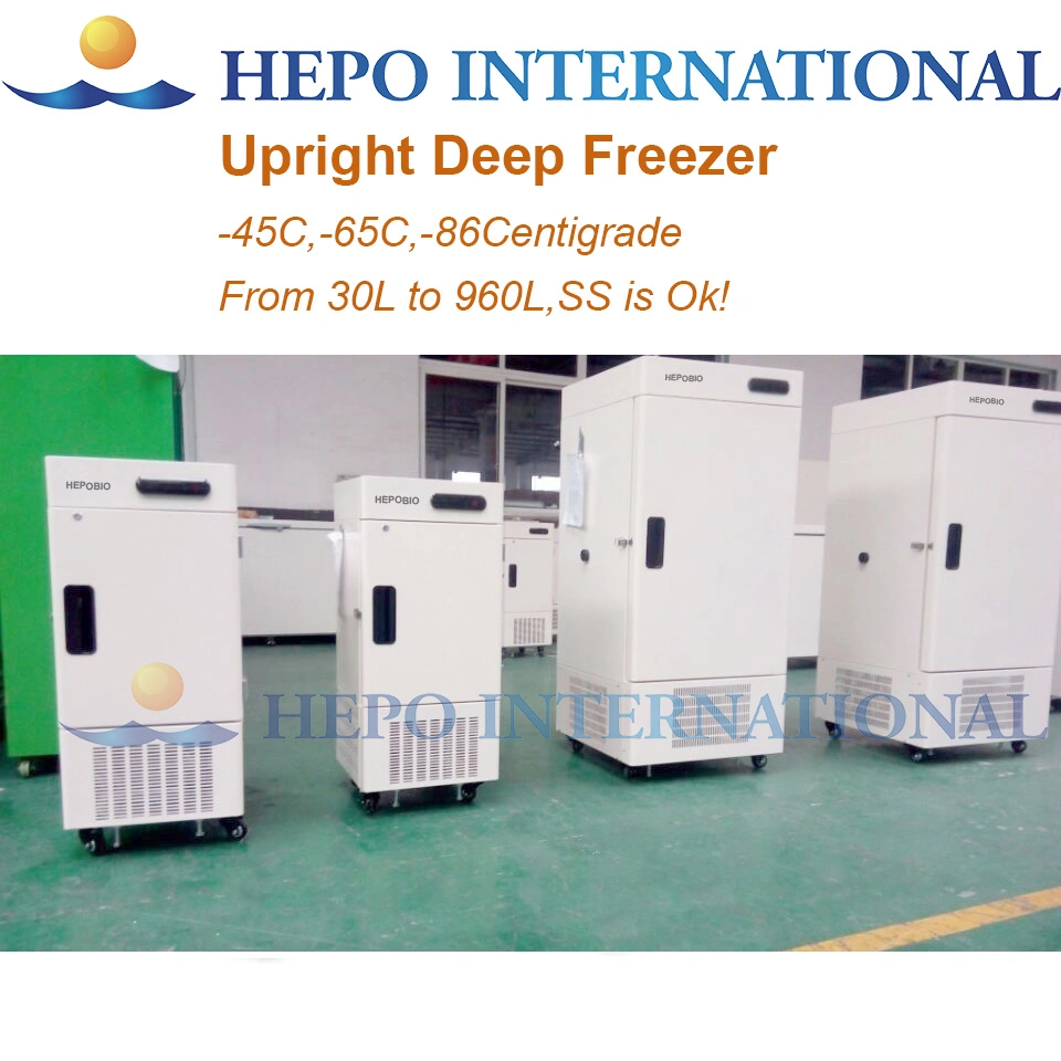 Chinese Large Capacity Energy Saving Upright Deep Cooling Freezer