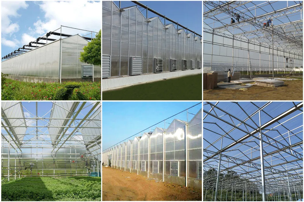 Polycarbonate Sheet Greenhouse with Blackout Shade System