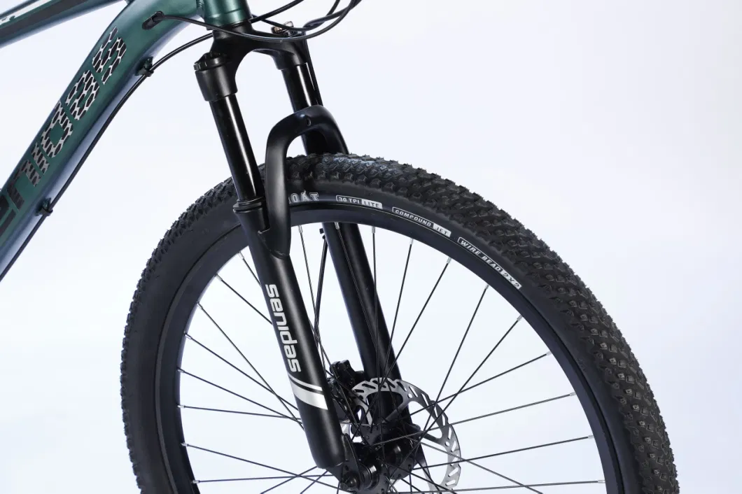 Feitian 21speed 26 27.5 29er Carbon Fiber Aluminum Alloy Frame Disc Brake