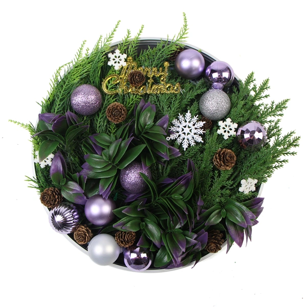 Christmas Series Decorative Round Plant Hanging Frame for Wall