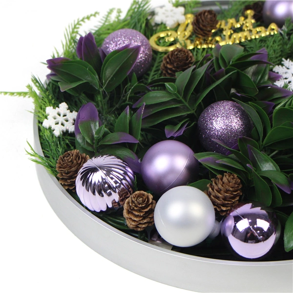 Christmas Series Decorative Round Plant Hanging Frame for Wall