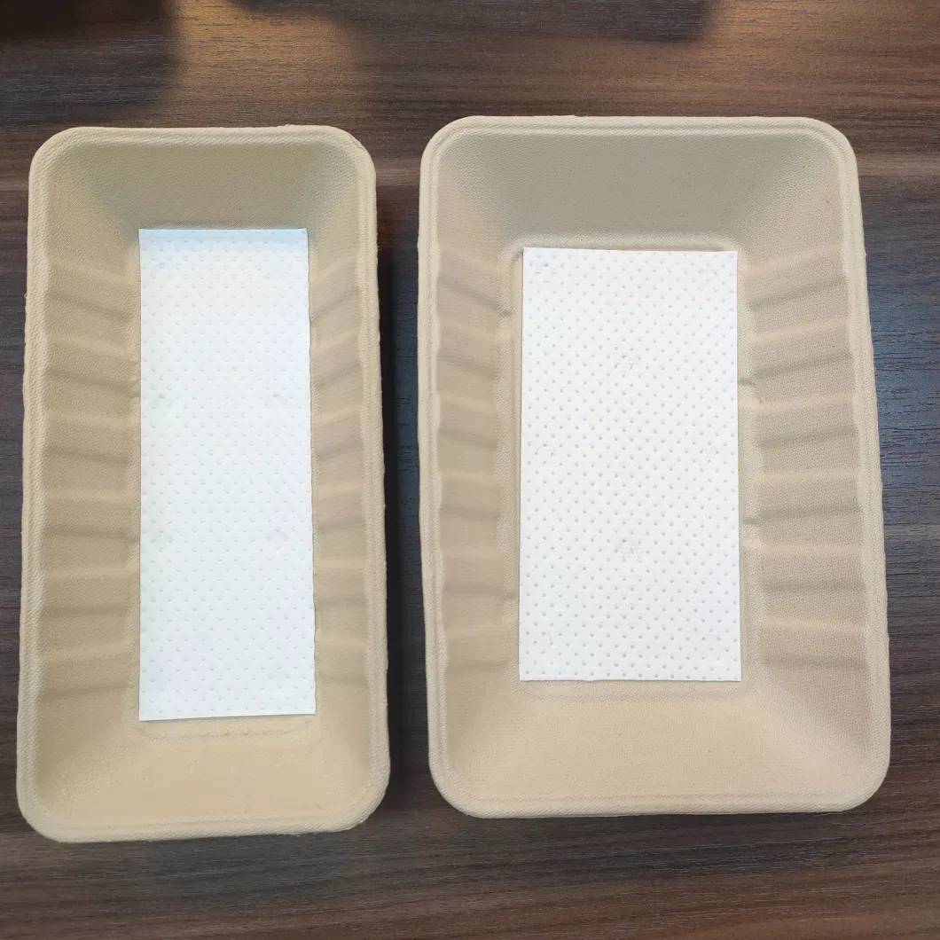 Biodegradable Kitchen Restaurant Serving Tray Compostable Meat Sugarcane Bagasse Frozen Food Tray