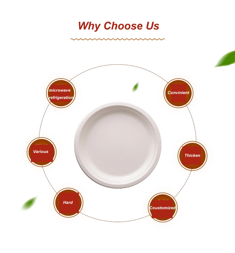 Free Sample Sugarcane Bagasse Plate for Food White or Natural Disposable Party Paper Plates