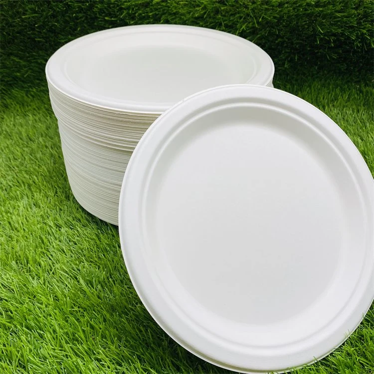 Free Sample Compostable Sugarcane Pulp Dinner Plate