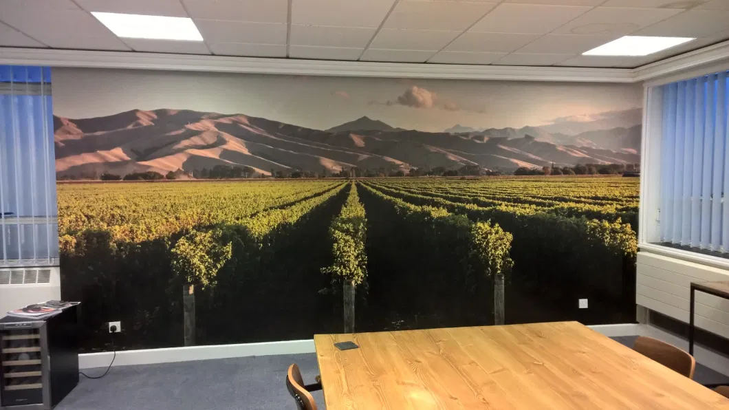 Wide Format Inkjet Printing Wall Canvas Xuan Texture Wall Fabric Velvet Wall Cloth