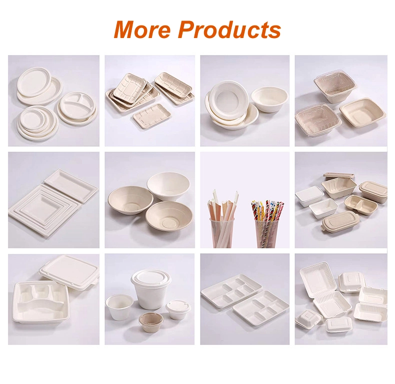 Free Sample Sugarcane Bagasse Plate for Food White or Natural Disposable Party Paper Plates