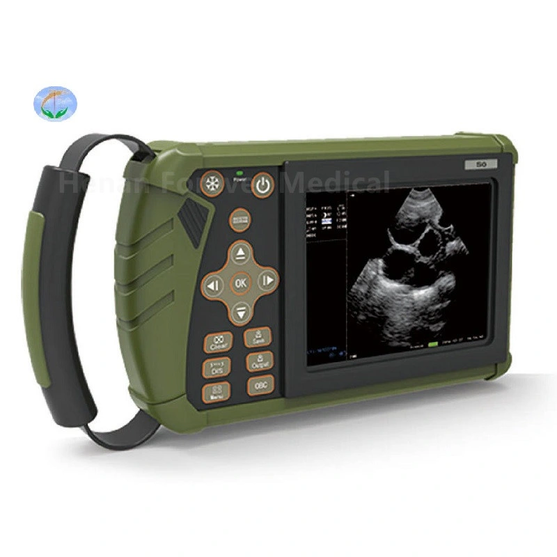 15 Inch Veterinary Ultrasound Imaging System Animals Pregnancy Laptop Ultrasound Scanner