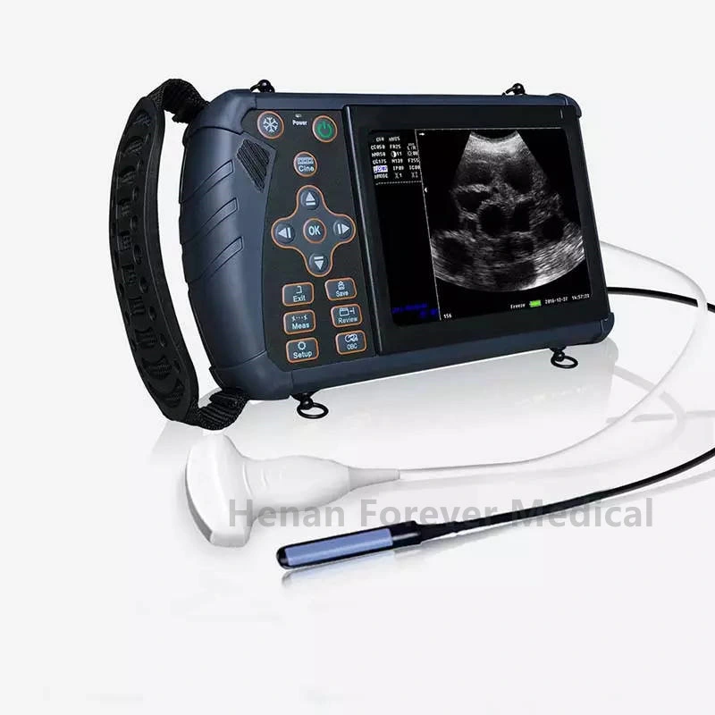 15 Inch Veterinary Ultrasound Imaging System Animals Pregnancy Laptop Ultrasound Scanner