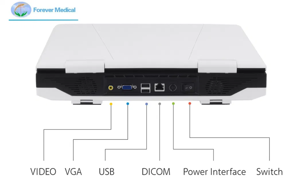 15 Inch Veterinary Ultrasound Imaging System Animals Pregnancy Laptop Ultrasound Scanner