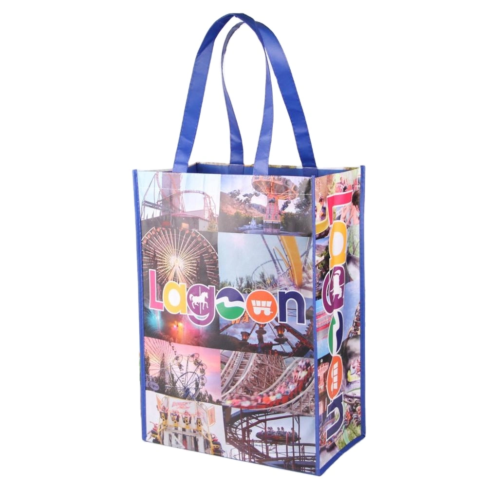 Summer Extra Large PP Woven Tote Carry Waterproof Beach Bag