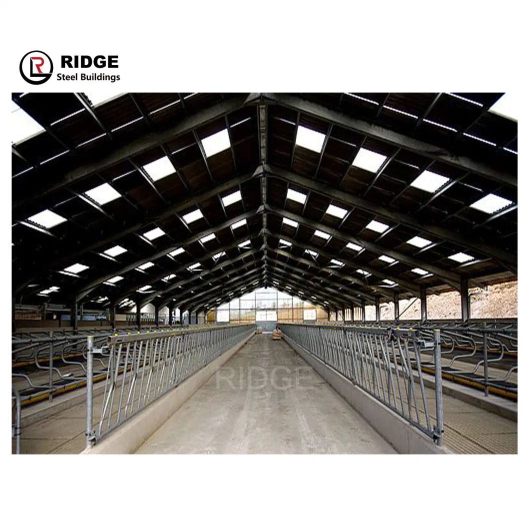 Steel Structure Shed Industrial Building Workshop Large Span Galvanized Frame