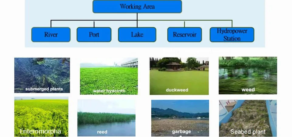 China Supplier Payload Capacity/Dynamic Flow Intake Aquatic Plant Removal Vessel