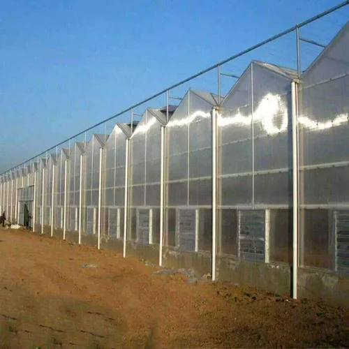 Quality Garden Greenhouse with PC Sheet Cover