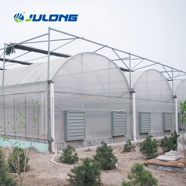 Customized Large Size Agricultural Greenhouses High Quality Multi-Span Plastic Film Green House for Green Leaves Vegetables Lettuce