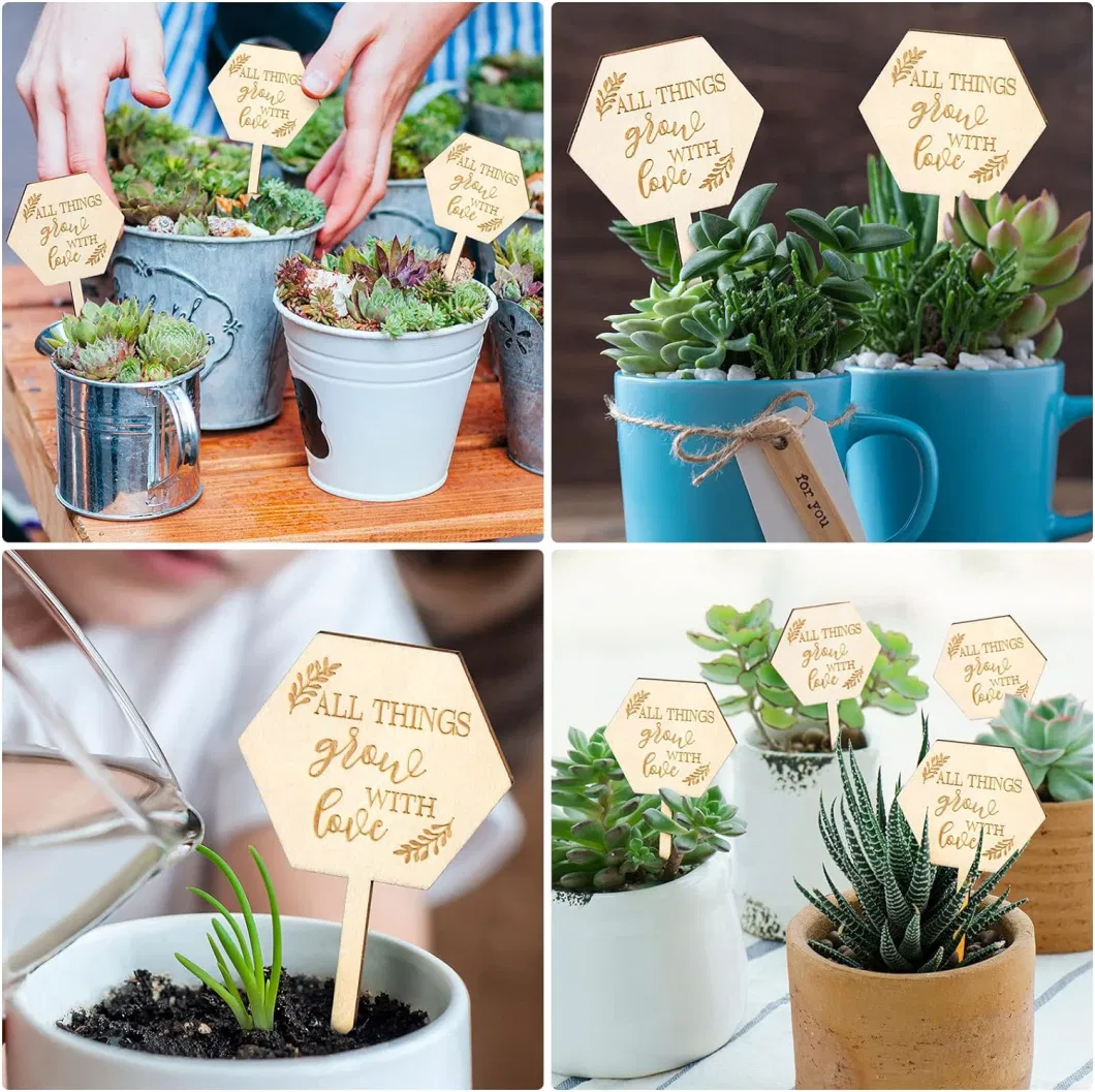 Garden Decoration Gift Wooden Plant Stakes Labels Garden Marker Plant Sign for Seed Potted Teacher Appreciation Gift