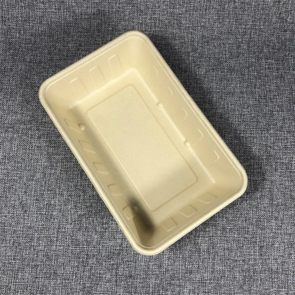 Psm Free Biodegradable Food Container Disposable Bagasse Pulp Clamshell Box Plate Tray