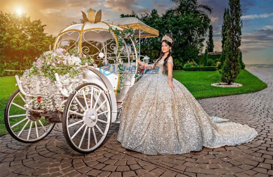 Customized Multi-Color Royal Sightseeing Carriage/Park Tour Rental Carriage/European Classical Wedding Carriage