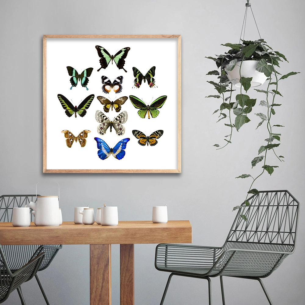 Custom HD Print Colorful Butterfly Floating Frame Wall Art Wholesale Frame Canvas Painting