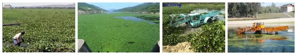 Aquatic Vegetation Removal/Aquatic Weed Cutting Equipment/Aquatic Weed Harvester for Sale