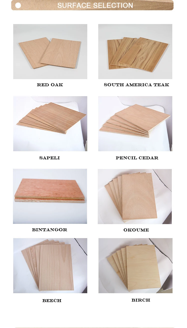 12mm 15mm 18mm Birch Laser Cut Plywood Wood Board for Die Making