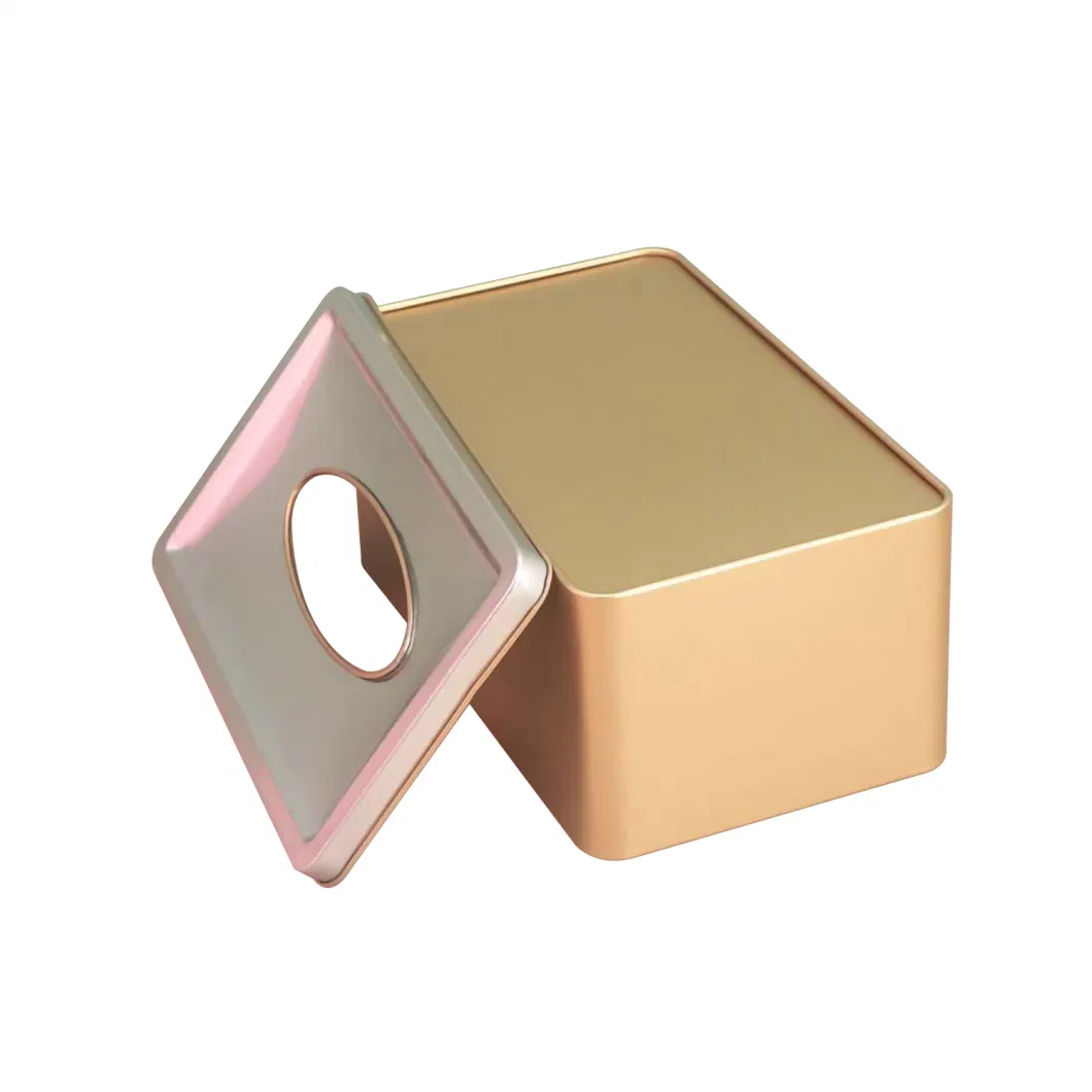 Rectangular Tissue Box Assurance Buckle Bottom Square Tissue Can Metal Napkin Holder