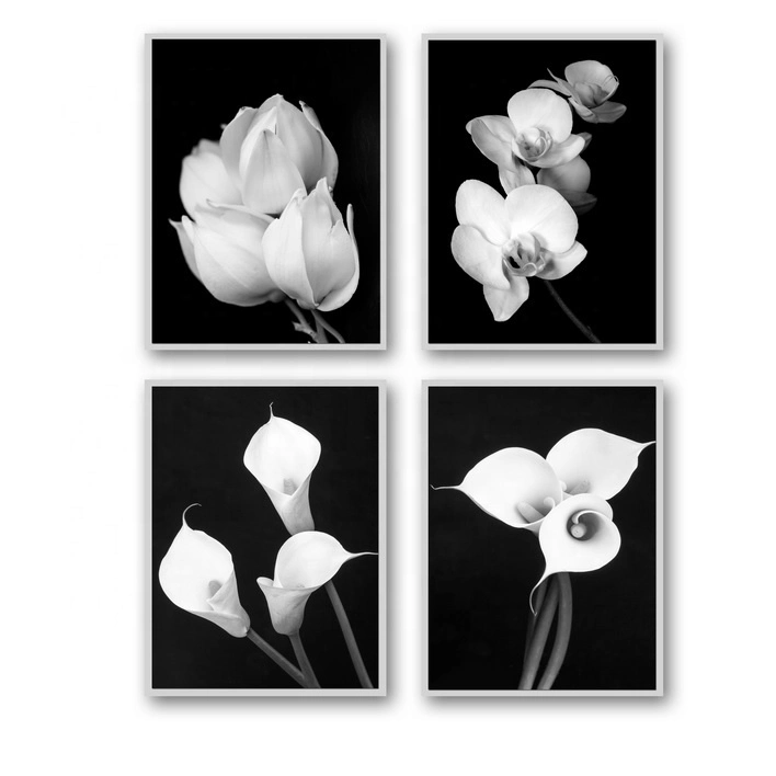 Black and White Flower Printing Home Decor Turnip Modern Cheap Custom Wall Art Painting Canvas