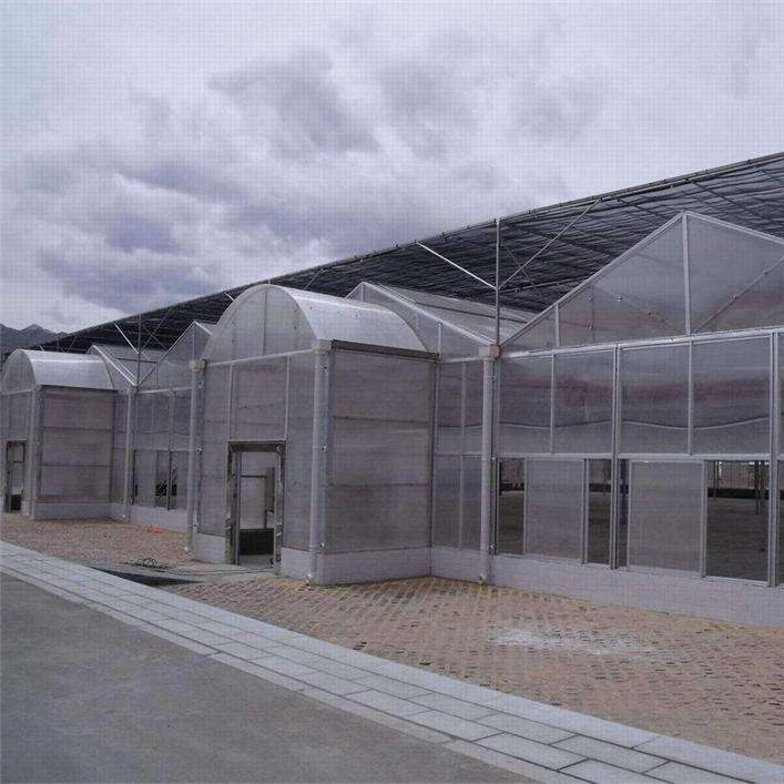 Quality Garden Greenhouse with PC Sheet Cover