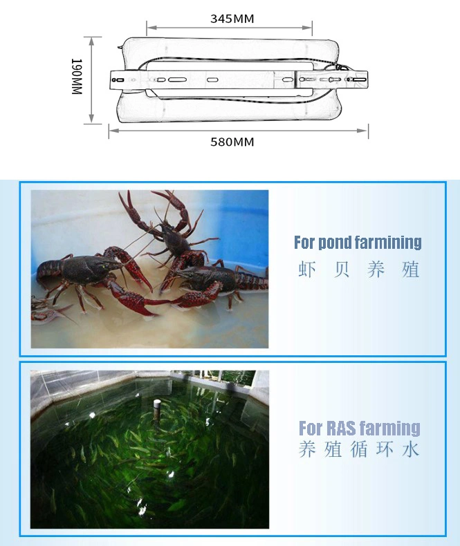 UV Sterilizer Pond Aquaculture UV Germicidal Lamp Pool UV Sterilizer