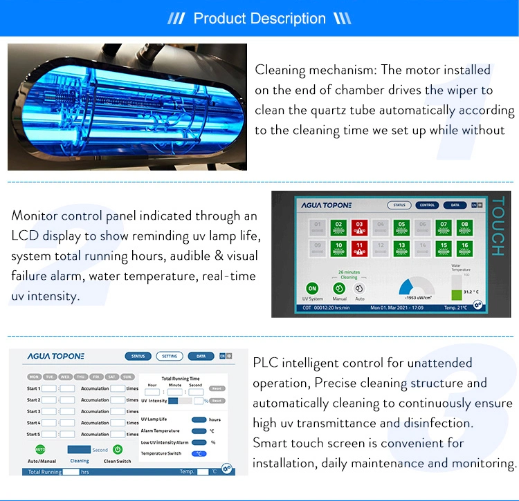 Agua Topone SS304 or SS316 Food and Beverage Industry or Swimming Pool Water Disinfection UV Light Sterilizer Medium Pressure