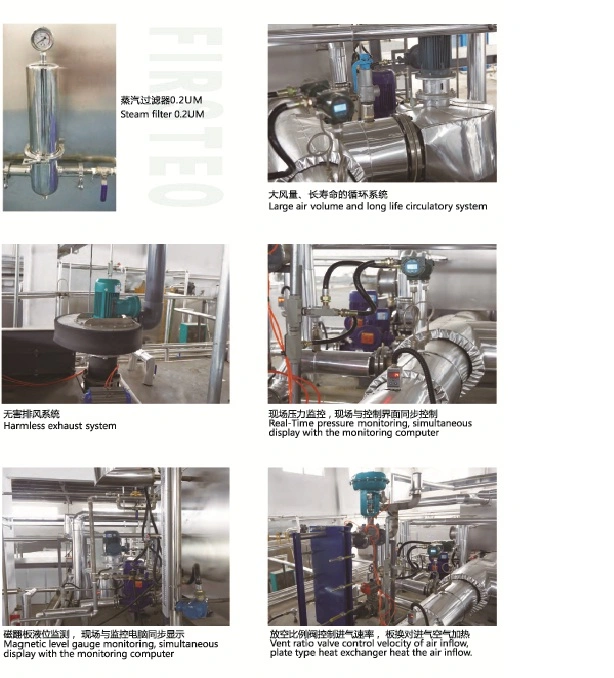 Auto Control Eo Sterilizer for Medical Equipment with Fst-Size