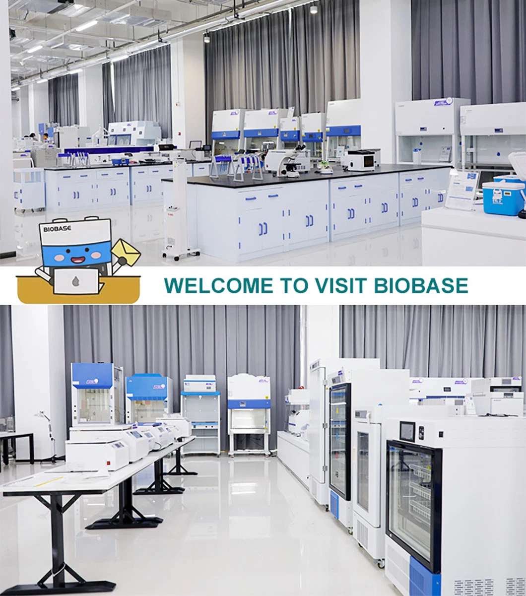 Biobase Ozone UV Sterilization Cabinet Automatic Ozone Sterilization Cabinet Manufacturers