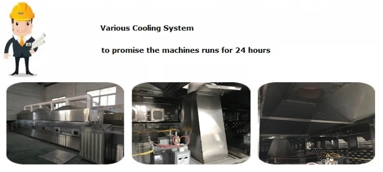 Continuous Microwave Spices Sterilization Machine Spices Powder Sterilizer