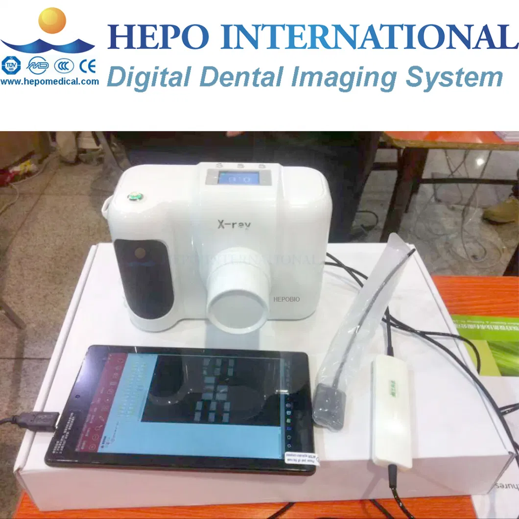 China Cheap Dental Sterilization Paper Bags Electrical Heating Sealing Machine