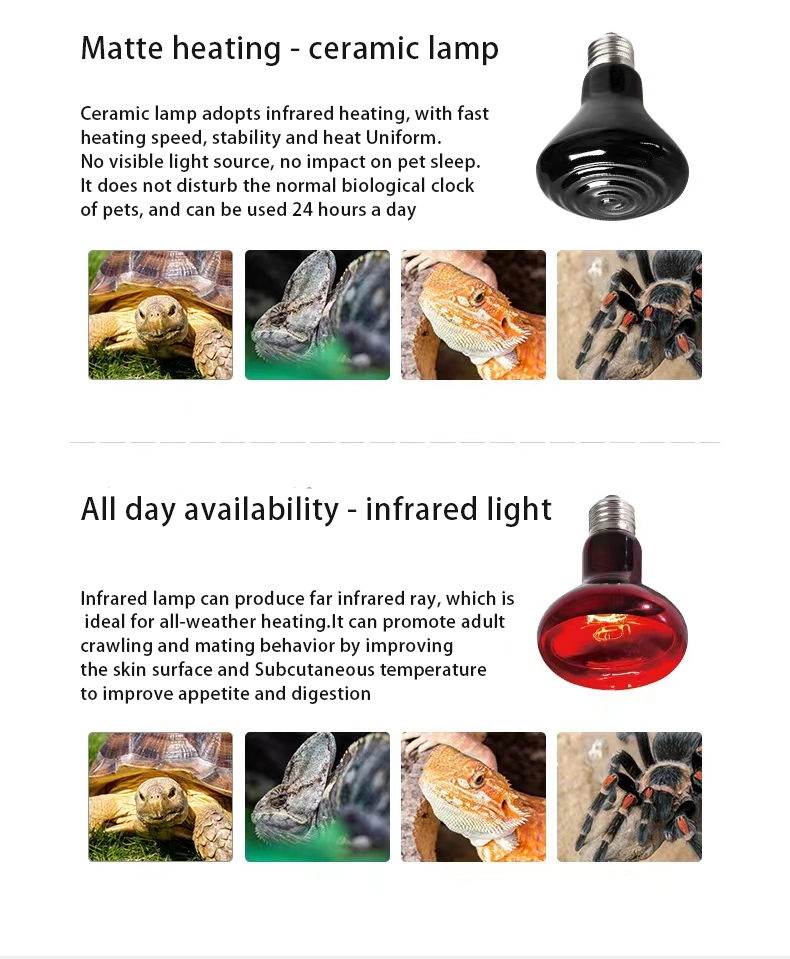 Chicken Poultry Reptile Infrared Heating Lamp for Chicks