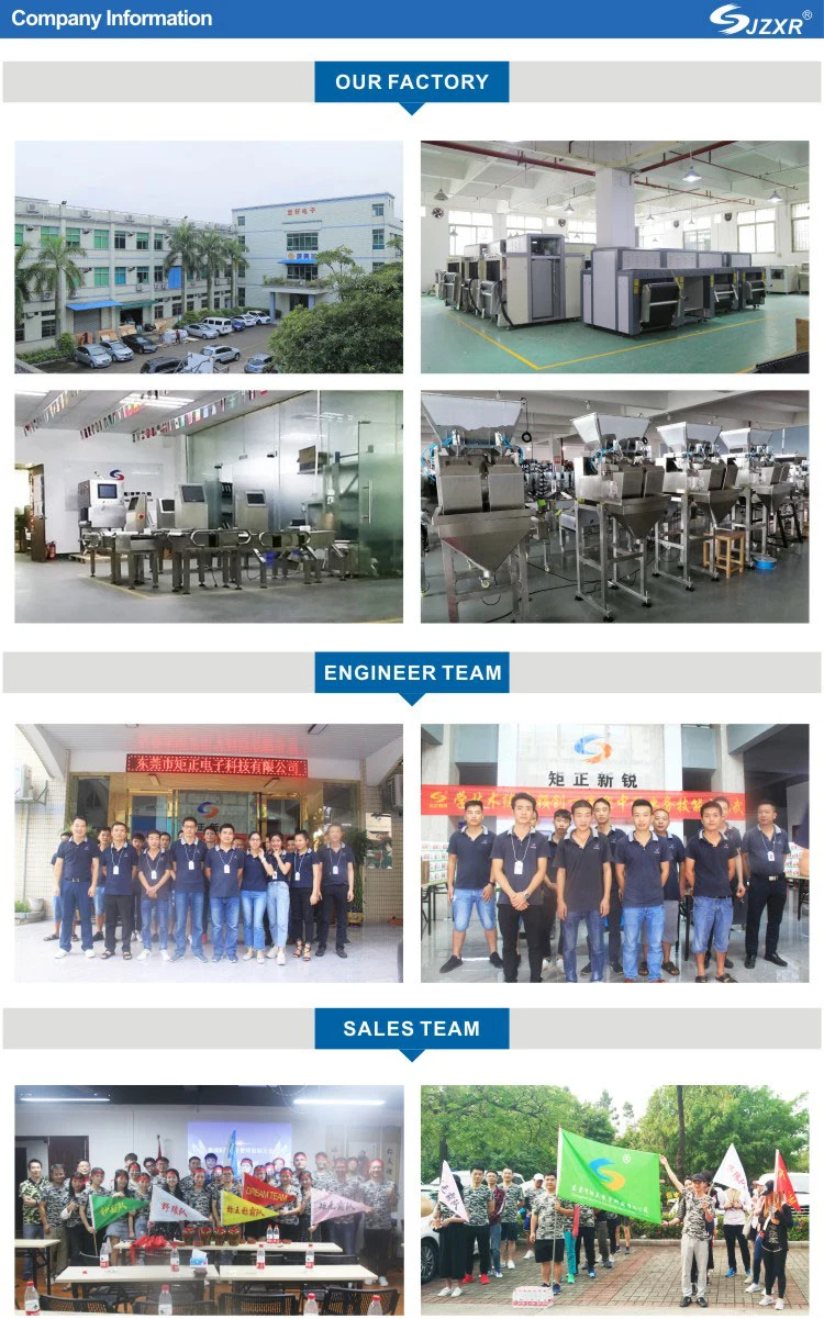 China Food Industrial X-ray Inspection Bulk Snacks Canned Can Cans Glass Bone and Metal Detector for Food Industry