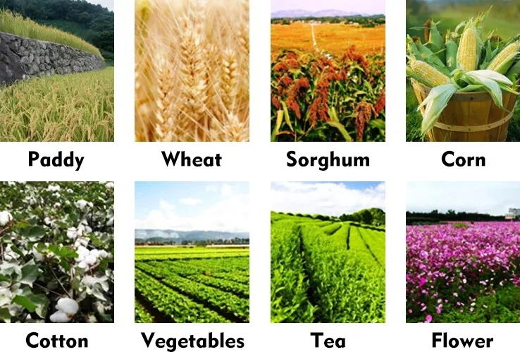 16 L 60 L Oil-Electric Hybrid Drones Crop Spraying GPS Uav Farm Sprayer Drone for Agriculture
