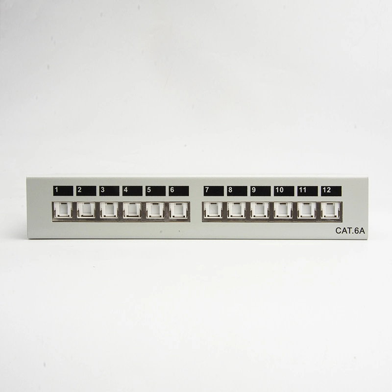 High Quality RJ45 CAT6 CAT6A SFTP 12 Port for Patch Panel