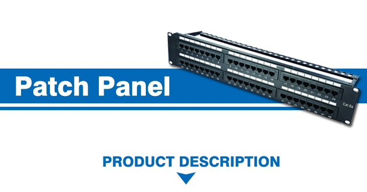 19 Inch 1u Black UTP 24 Port Cat5e Patch Panel