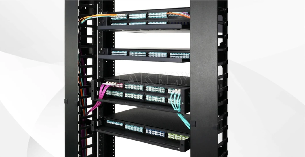 MPO/MTP Fiber Optic Patch Panel Cassette Module Management Panel