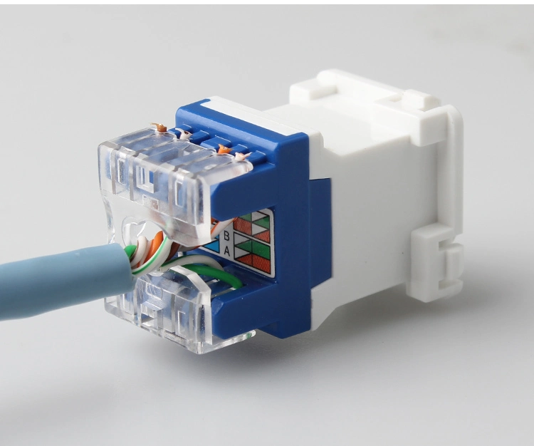 Australian Type RJ45 180degree Network Module UTP CAT6 Keystone Jack