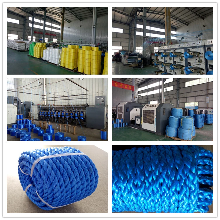 High Quality Solid Double Braided Polyester Rope