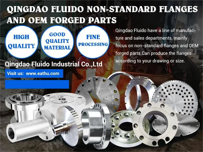 Stainless Steel/Carbon Steel Water Pipe Flange According to ASME ANSI B16.5 DIN En1092-2 GOST Standard Blind /Slip on/Weld Neck Flange Manufacturer