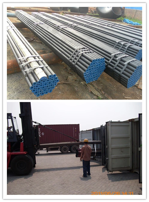 3PE Coating Pipeline Three Layer Polyethylene Seamless DN100 DN200 DN250 Std Xs ERW Efw Weld Seam A53 Gr B A106 Grade B Steel Pipes with Plastic Cap