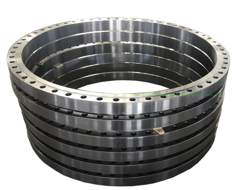 Steel Flange Forged Carbon Steel Stainless Steel ANSI ASME Awwa DIN En1092-2 GOST Standard