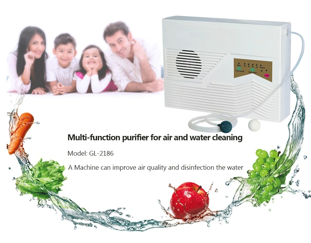 Multifunction Machine Water Purifier with Ozone Generator and Ionizer China Factory