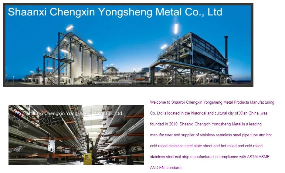 Stainless Steel Pipe/Seamless Steel Pipe/Galvanized/Welded//Oil/Alloy/Ap5l/Round